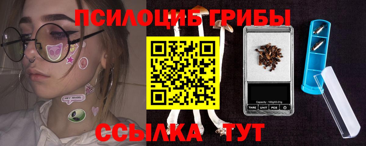 Галлюциногенные грибы мухоморы Северск