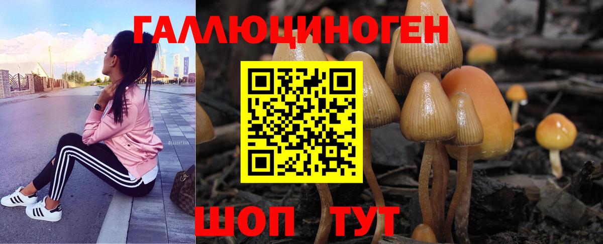 Галлюциногенные грибы Psilocybe  Вход с VPN  Северск 
